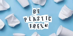 Why Choose Plastic-Free Paper for a Greener Tomorrow?