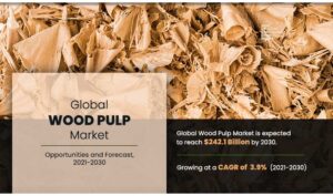 What Drives Growth in Global Pulp Market?