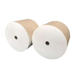 Eco-Conscious 330mm * 500m 120gsm 170gsm Stone Paper Roll for Printing